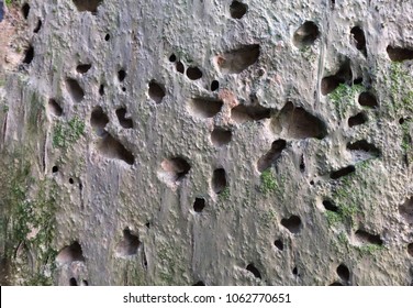 Mud-hole Images, Stock Photos & Vectors | Shutterstock