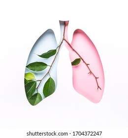 Hole Lungs And Green Twigs As Symbol Of Healthy And Sick Lungs. World Tuberculosis Day Or World Lung Day Concept. Minimal Paper Art.