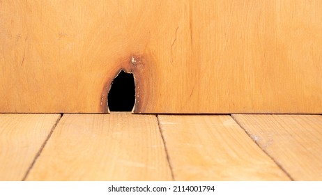 Hole From The Mouse In The Wall