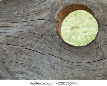 Hole in old wooden fence. Rough wooden fencing with knot hole through which you can see the green grass