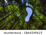 Hole in the Shape of a Footprint Symbolizing a Carbon Footprint