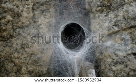 Hole Spider Web Trap Closeup