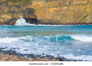 Wild Coast Images Stock Photos Vectors Shutterstock