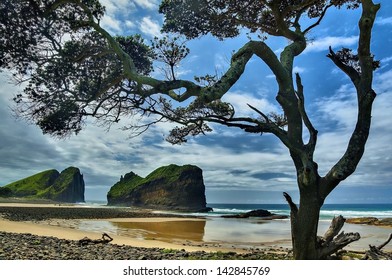 Hole In The Wall, Eastern Cape, South Africa