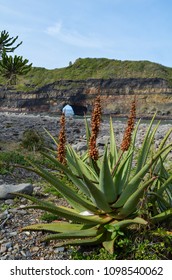 Hole In The Wall, South Africa, Eastern Cape, Coffee Bay