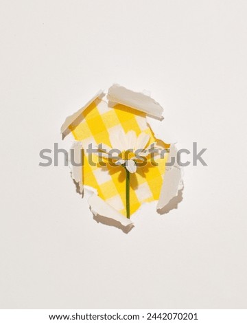 Hole in white paper, daisy flower on yellow gingham tablecloth, simplicity of composition, contemporary and retro elements, nostalgia of the fifties.
