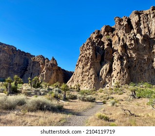 Hole-in-the-Wall Rings Trail in Mojave National Preserve, California