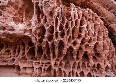 Holen in Stein - Tafoni Wetter in rotem Sandstein. Tarragona, Spanien