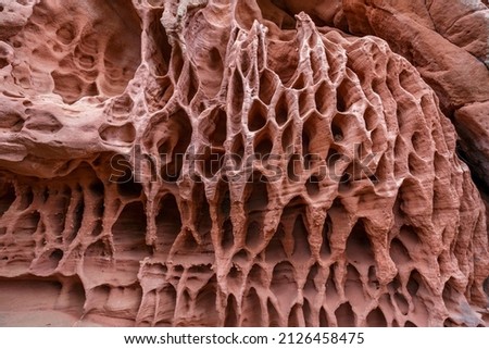 Holes in stone - Tafoni weathering in red sandstone. Tarragona, Spain