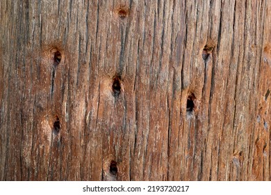 Holes Worn Into A Tree By Shaolin Monks - Tree Trunk With Finger Holes