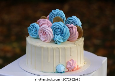 A Holiday Cake In Blue Pink Colors For A Gender Revelation Party.