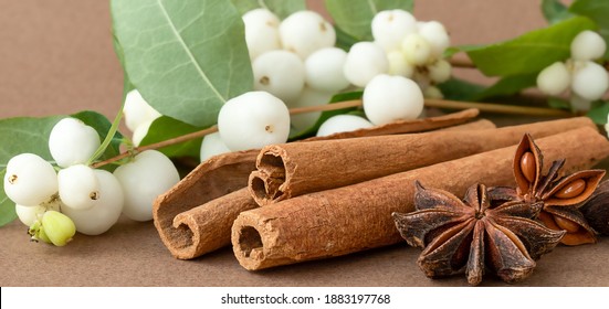 Holiday Composition With Cinnamon, Holly Plant And Anise