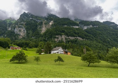 Holiday house on steep slope and rocky mountain in background. Cabin on green pasture and edge of forest with single tree in Rhein valley under Alpstein. wooden hut or barn on interesting cloudy day - Powered by Shutterstock