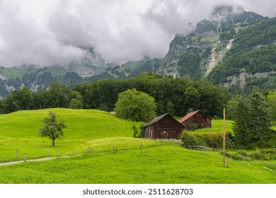 Holiday house on steep slope and rocky mountain in background. Cabin on green pasture and edge of forest with single tree in Rhein valley under Alpstein. wooden hut or barn on interesting cloudy day - Powered by Shutterstock