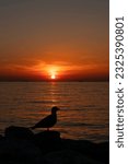 holiday sea sunset young people rest travel ship tourism guide birds seagulls love affection peace background 