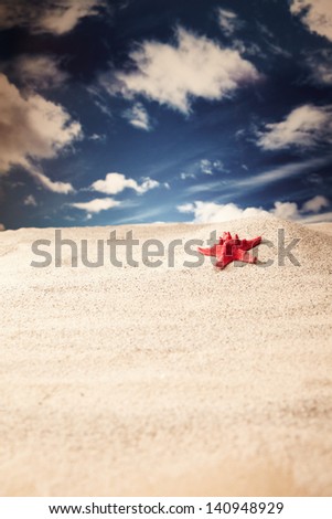 Similar – Sandy beach with starfish and snails