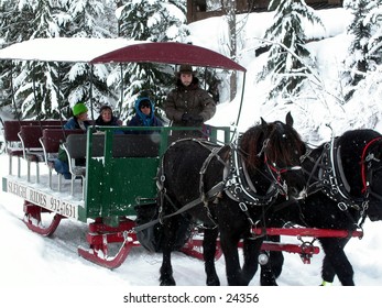 Holiday, travel, horse, sled, snow, recreation