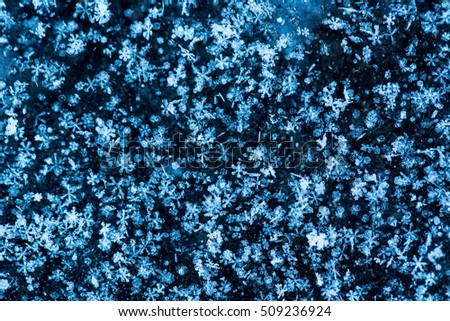 Holiday winter blue background with Christmas snowflakes