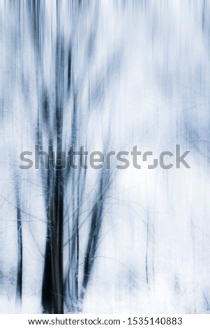 Similar – Foto Bild Fog Nebel Baum