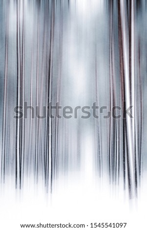 Similar – Image, Stock Photo in the fog Environment