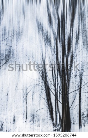 Similar – Foto Bild Fog Nebel Baum