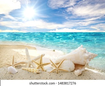 Holidays In The Wonderful Caribbean Samana Beach, Summer Vacation, Background With Starfish,  Sea Shells, Beach And Sunny Sky,  Tropical Symbol