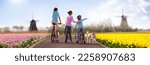 Holland tulip fields. Family on bike in blooming tulips fields. Visit Netherlands in spring. Traditional windmills in flower farm. Mother, father and child on bicycle. Dutch travel destination.