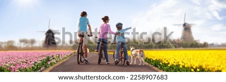 Holland tulip fields. Family on bike in blooming tulips fields. Visit Netherlands in spring. Traditional windmills in flower farm. Mother, father and child on bicycle. Dutch travel destination.