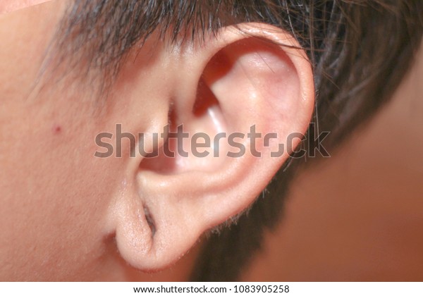 Hollowed ear former\
piercings