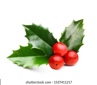 Holly berry leaves Christmas decoration isolated on white background