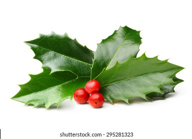 Holly Berry Leaves Christmas Decoration Isolated On White Background