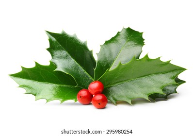 Holly Leaves Decoration Red Berries Stock Photo (Edit Now) 747594259
