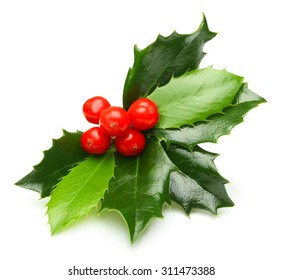 Holly berry leaves Christmas decoration isolated on white background - Shutterstock ID 311473388