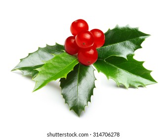 Holly Berry Leaves Christmas Decoration Isolated On White Background