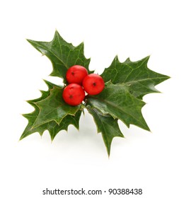Holly Berry Sprig, Christmas Symbol