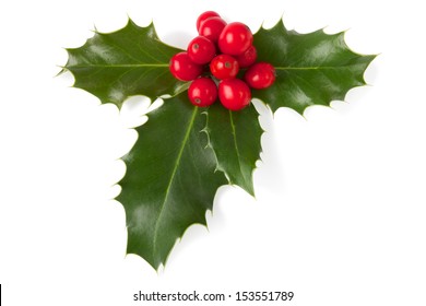Holly Christmas decoration. Clipping path included.