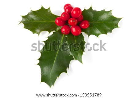 Holly Christmas decoration. Clipping path included.