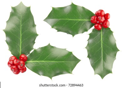 Holly corner isolated on white, clipping path included