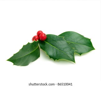 Holly Sprig On White