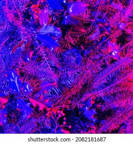 Holly tree branches with few red berries, winter vibe, Christmas tree cyberpunk inspired concept. Flat lay arrangement, under neon and vivid color and shade. - Powered by Shutterstock