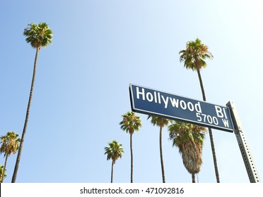 Hollywood Boulevard Sign With Palm Trees