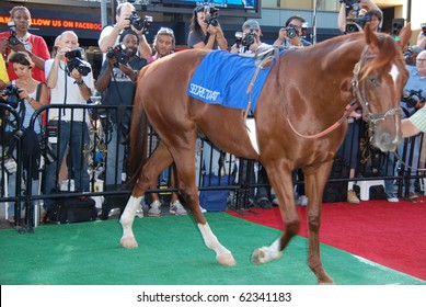 HOLLYWOOD, CA- SEPTEMBER 30: Horse Used As 