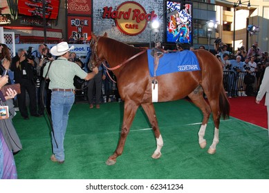 HOLLYWOOD, CA- SEPTEMBER 30: Horse Used As 