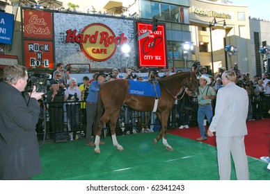 HOLLYWOOD, CA- SEPTEMBER 30: Horse Used As 