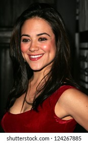 HOLLYWOOD - DECEMBER 07: Camille Guaty At Howard Fine's Ball Of Fire December 07, 2006 In Boardners, Hollywood, CA.