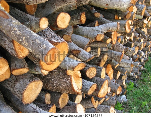 Holm Oak Wood Fire Place Stock Photo Edit Now 107124299