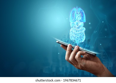 Holographic projection of scanning the internal organs of a person, x-ray in the phone. The concept of modern medicine, digital x-ray, new technologies, human anatomy