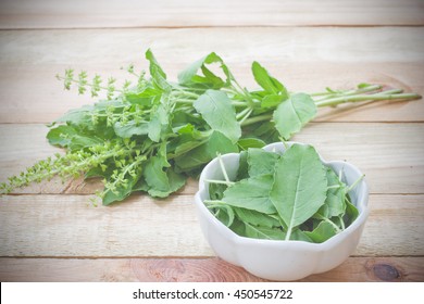 Holy basil leaves Ingredients for thai cooking and herb on wood background.