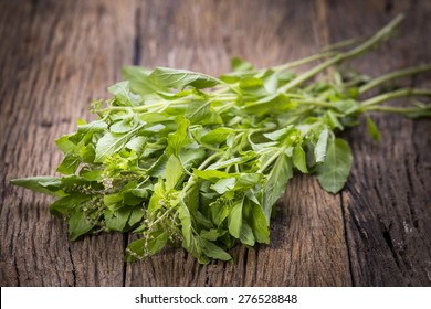 Holy Basil Leaves On A Wooden Table