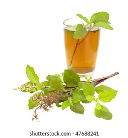 Holy Basil Tulsi Tea Ayurvedic Remedy Isolated